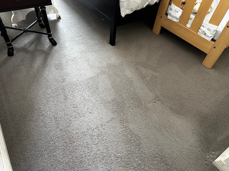 Home Carpet Cleaning carpet cleaning work in Oatlands