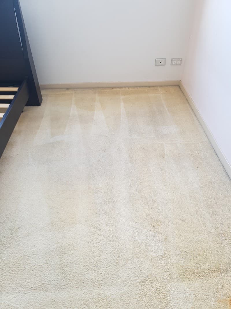 Home Carpet Cleaning carpet cleaning work in Oatlands
