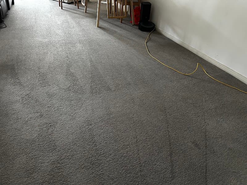 Home Carpet Cleaning carpet cleaning work in Oatlands