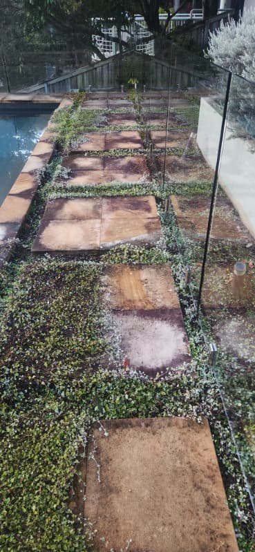 Home Shine pressure washing work in Artarmon