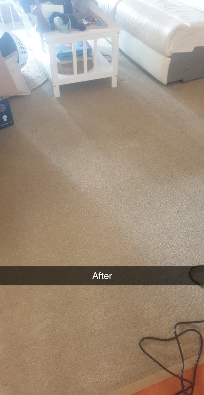 Home Sweep Home Housecleaning oven & bbq cleaning work in Delacombe
