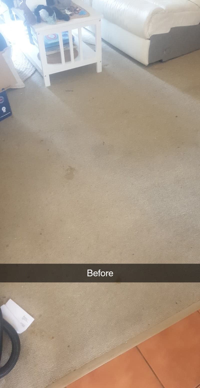 Home Sweep Home Housecleaning oven & bbq cleaning work in Delacombe