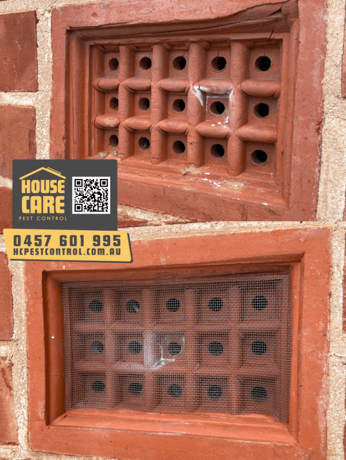 House Care Pest Control pest control work in St Agnes