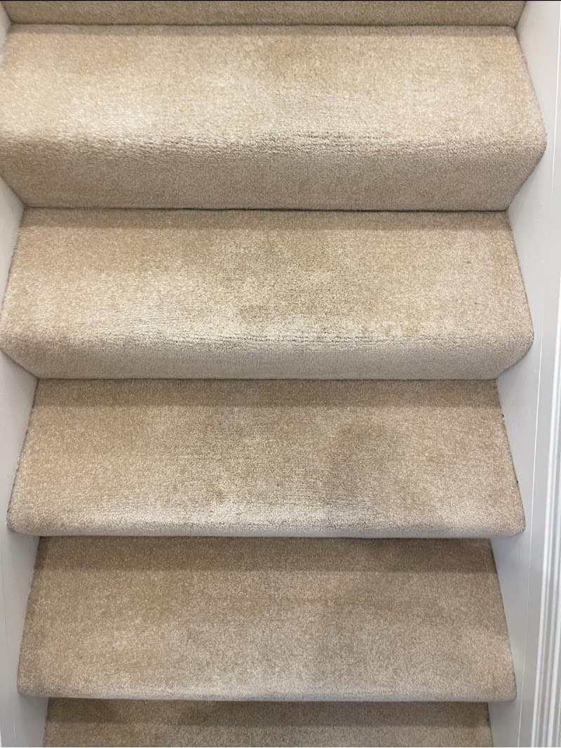 HWA Carpet Cleaning carpet cleaning work in West Perth