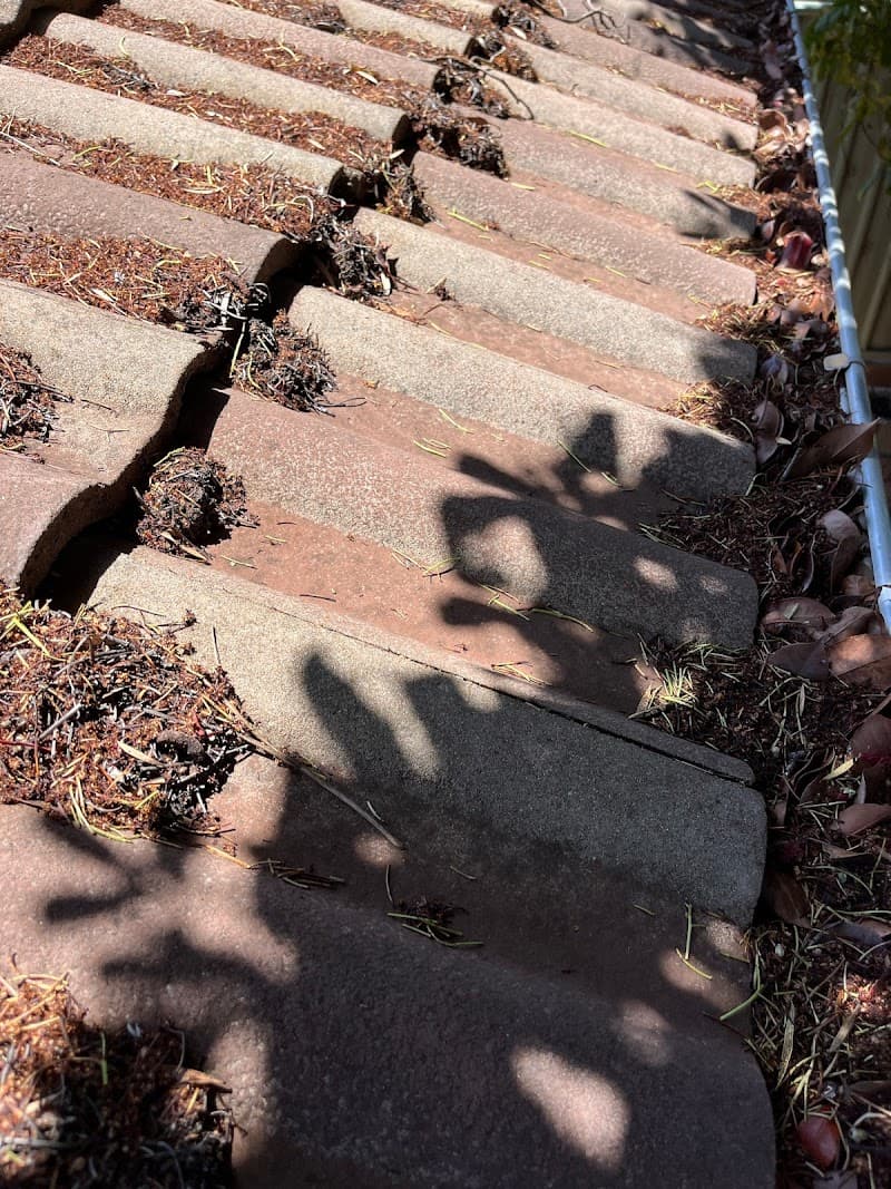 Hydrodyn Pressure Cleaning pressure washing work in Amaroo