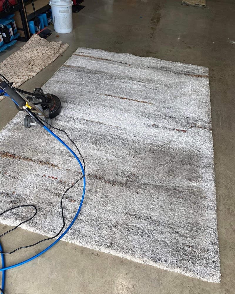I Clean Carpets & Windows carpet cleaning work in Clarence Gardens