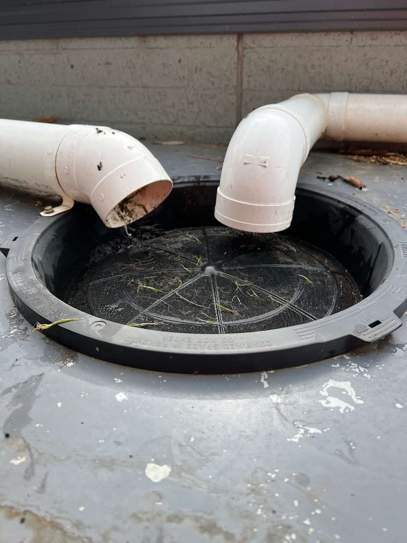 I Clean Gutters gutter cleaning work in Hastings