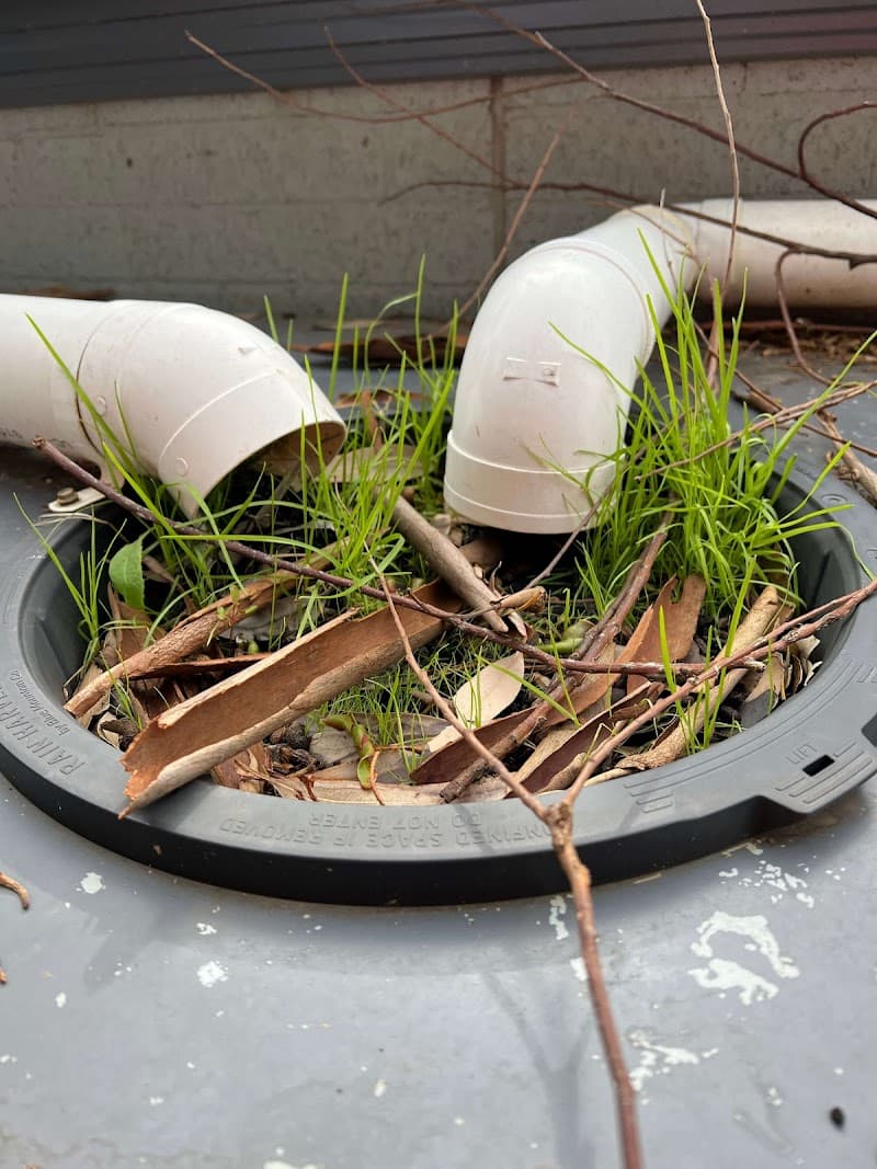 I Clean Gutters gutter cleaning work in Hastings