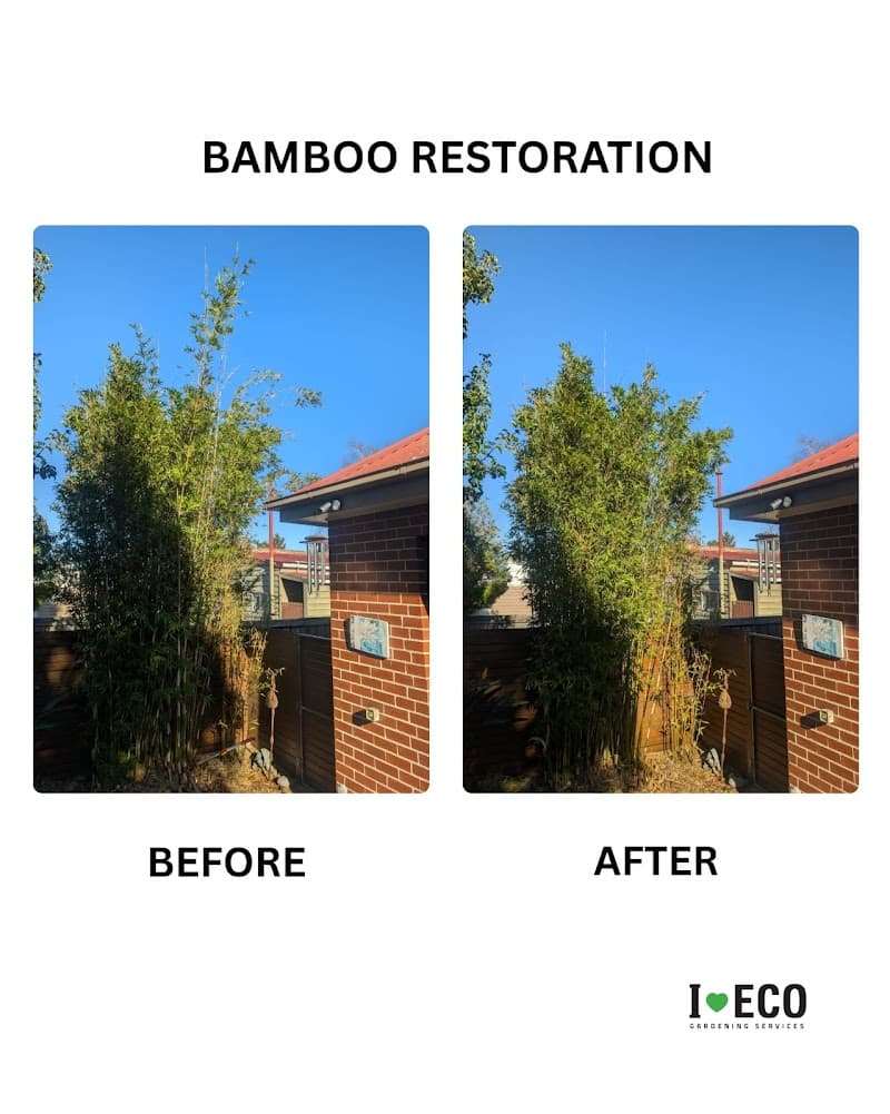 I LOVE ECO gardening work in Bentleigh