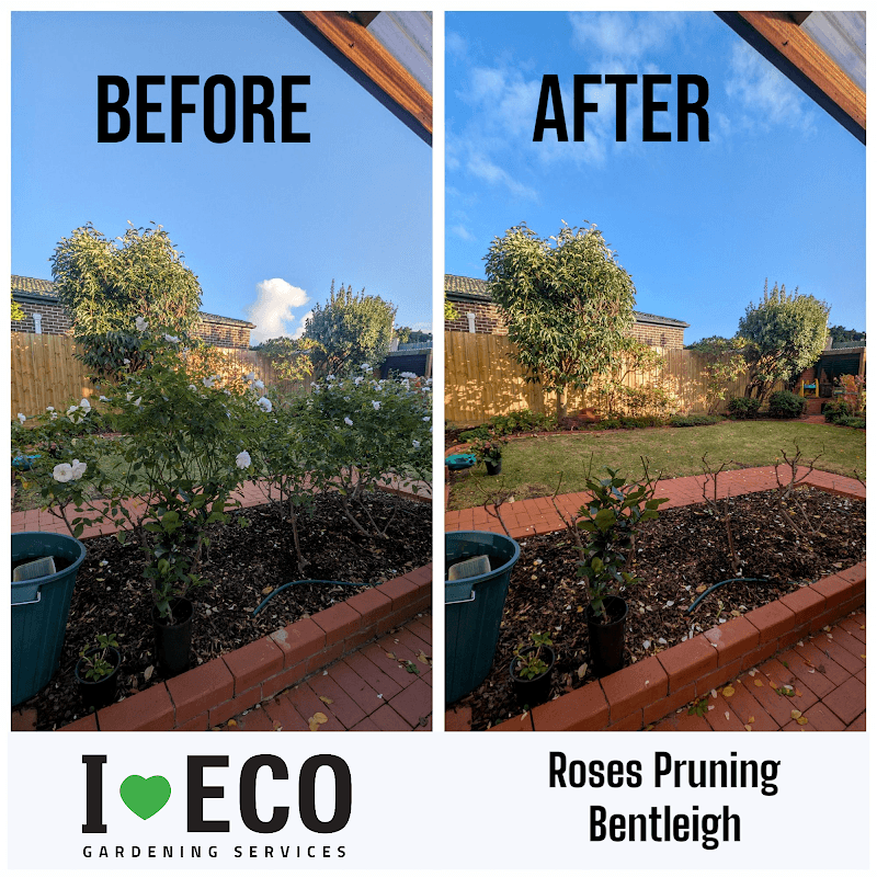 I LOVE ECO gardening work in Bentleigh