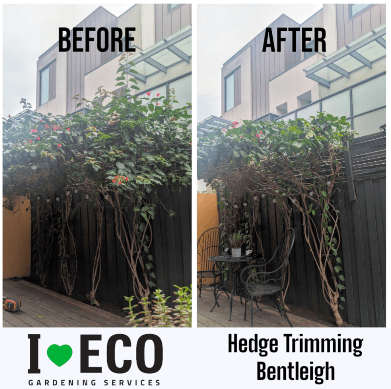 I LOVE ECO gardening work in Bentleigh