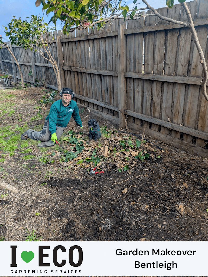 I LOVE ECO gardening work in Bentleigh