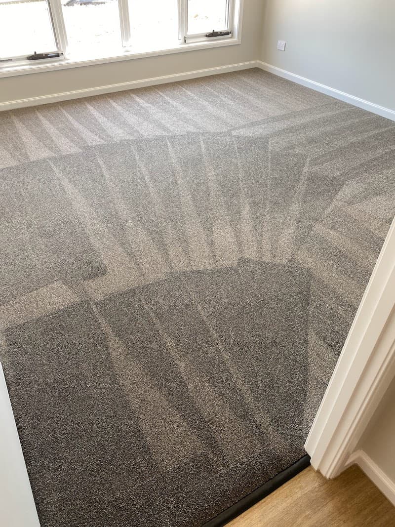 iCarpet clean and pest control carpet cleaning work in Holmview