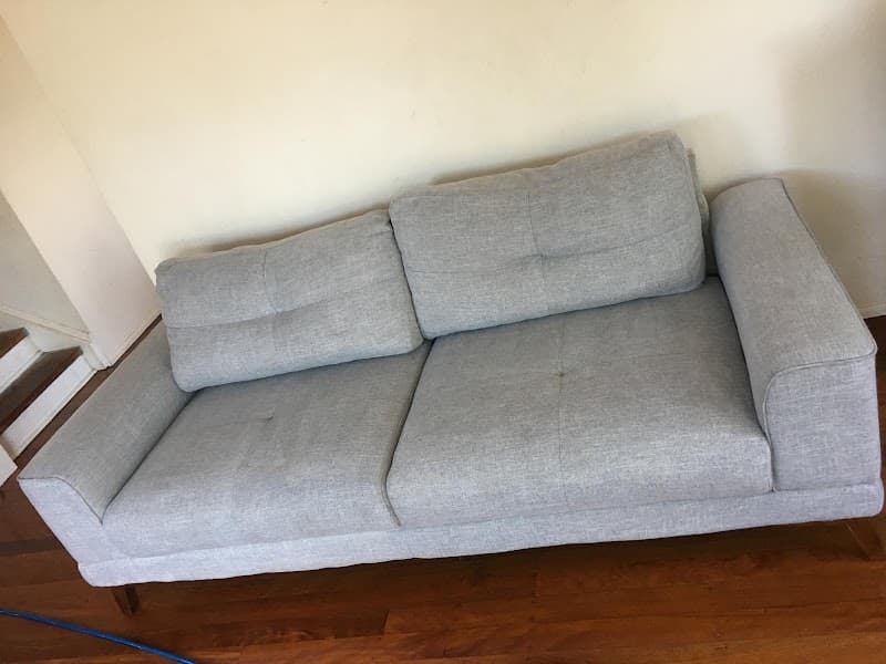iCarpet clean and pest control carpet cleaning work in Holmview