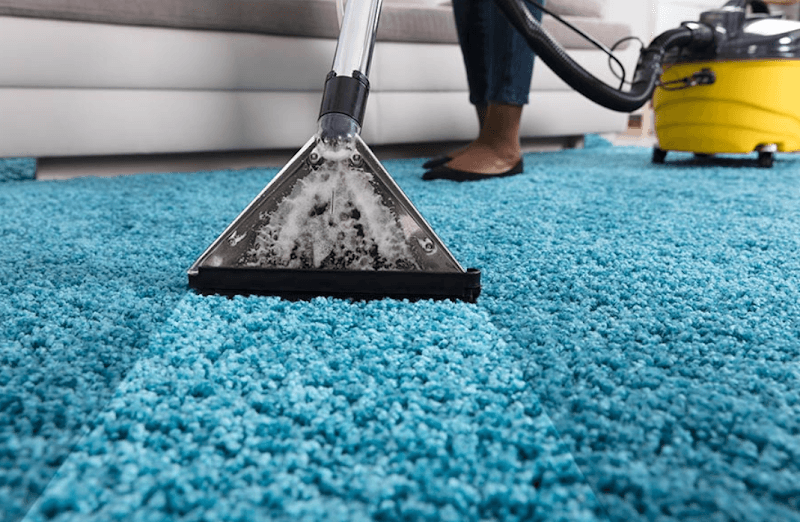 iCarpet clean and pest control carpet cleaning work in Holmview