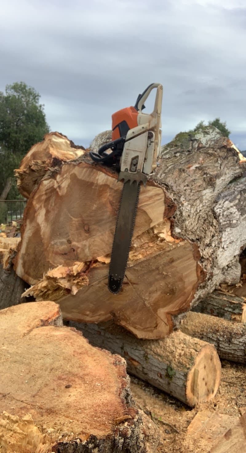 iClimb Tree Solutions tree services work in Prospect