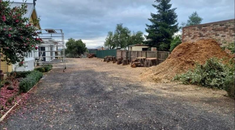 iClimb Tree Solutions tree services work in Prospect