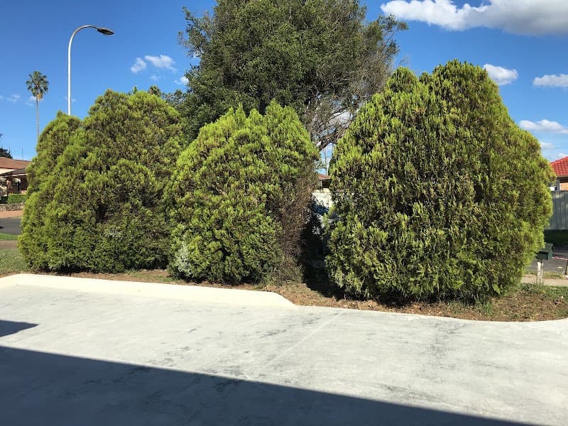 Impact Tree Services tree services work in Emu Plains