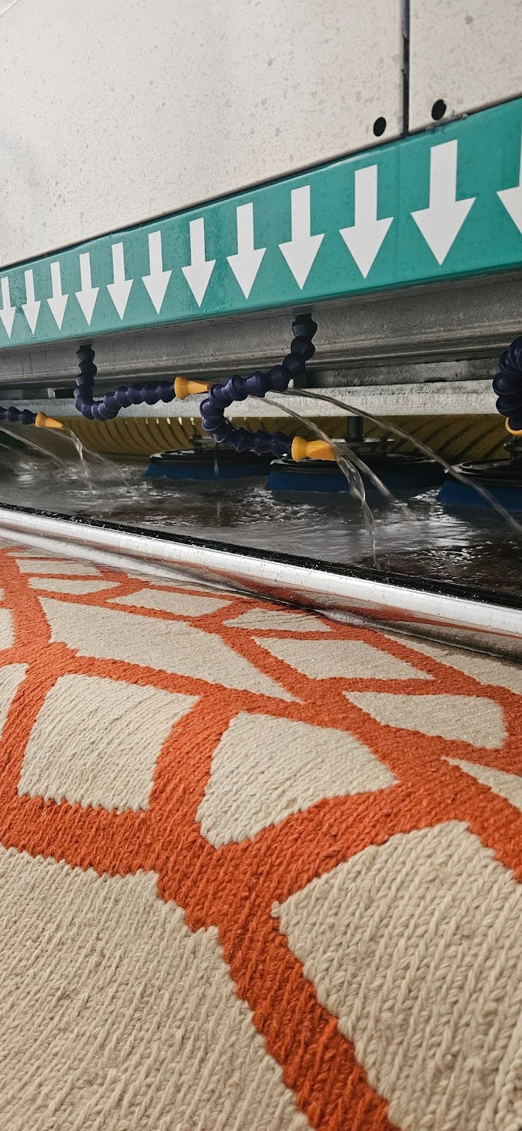 Imperial Rug Clean carpet cleaning work in Shailer Park