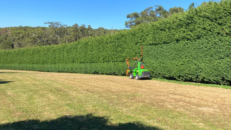 In Trim Hedge Care tree services work in Mount Martha