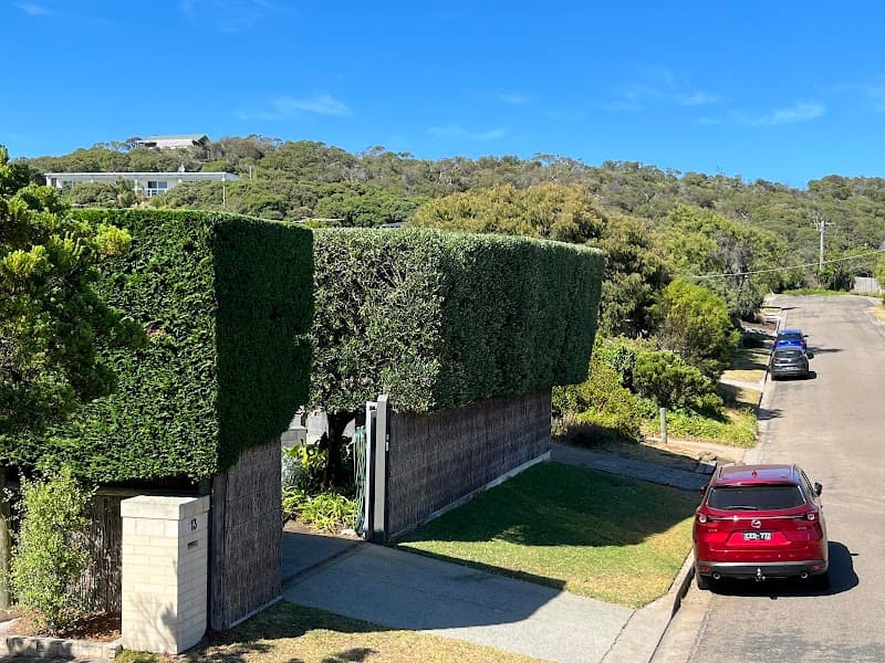 In Trim Hedge Care tree services work in Mount Martha