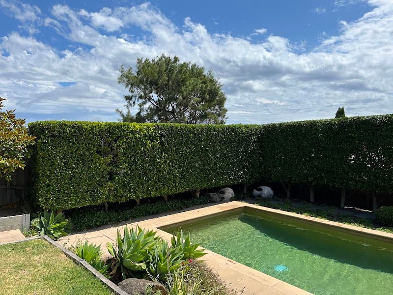 In Trim Hedge Care tree services work in Mount Martha