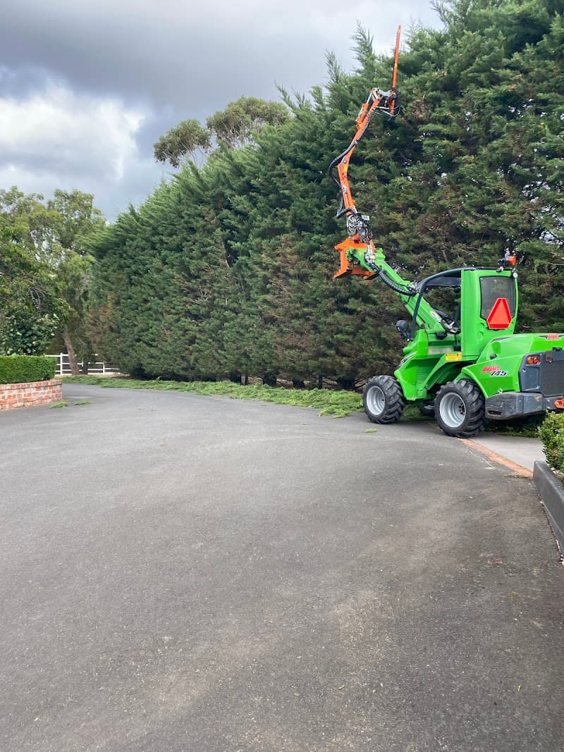 In Trim Hedge Care tree services work in Mount Martha