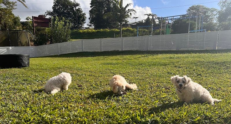 INDCO fencing work in Balnagowan