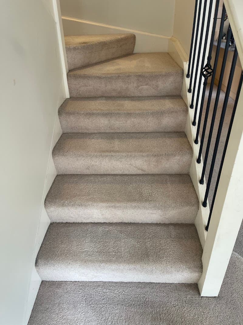 Infinity Carpet Cleaning carpet cleaning work in The Entrance