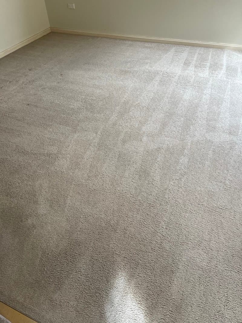Infinity Carpet Cleaning carpet cleaning work in The Entrance