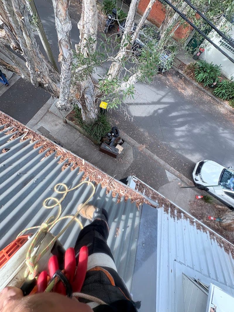 Inner West Gutter Cleaning gutter cleaning work in Redfern