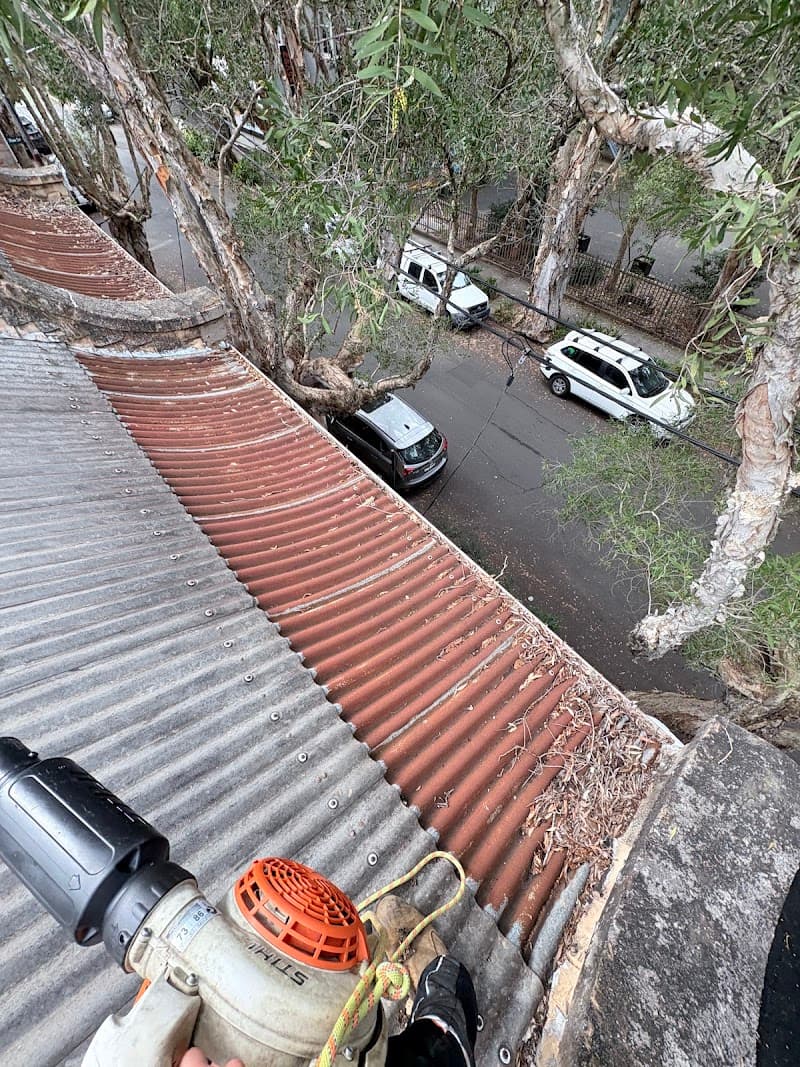 Inner West Gutter Cleaning gutter cleaning work in Redfern