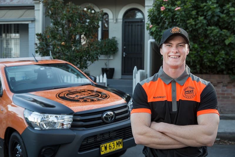 InnerWest Pest Control Pty Ltd. pest control work in Annandale