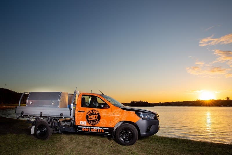 InnerWest Pest Control Pty Ltd. pest control work in Annandale