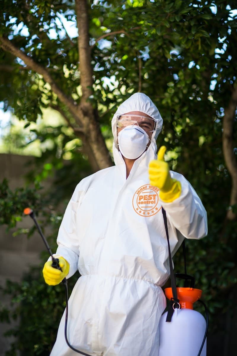 InnerWest Pest Control Pty Ltd. pest control work in Annandale