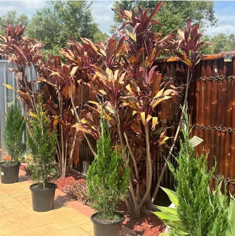 Inside Out Handyman and Gardening (Malad & Elise) handyman work in Merrylands