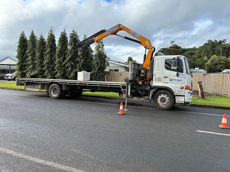 Instant Crane Trucks removalist work in Aeroglen