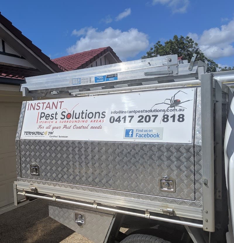 Instant Pest Solution | Termite Control Ipswich Qld | Pest inspection ipswich pest control work in Purga