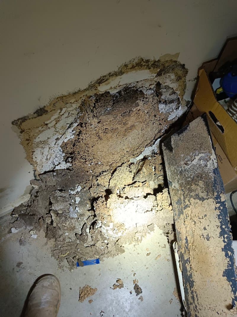 Ipswich City Pest And Termite Control pest control work in Booval