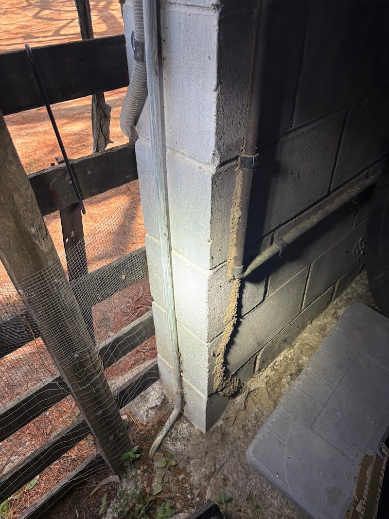 Ipswich City Pest And Termite Control pest control work in Booval