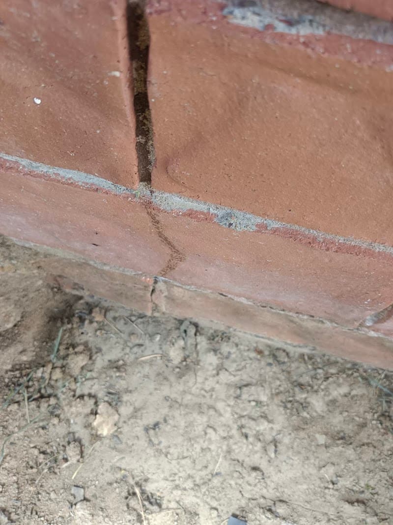 Ipswich City Pest And Termite Control pest control work in Booval