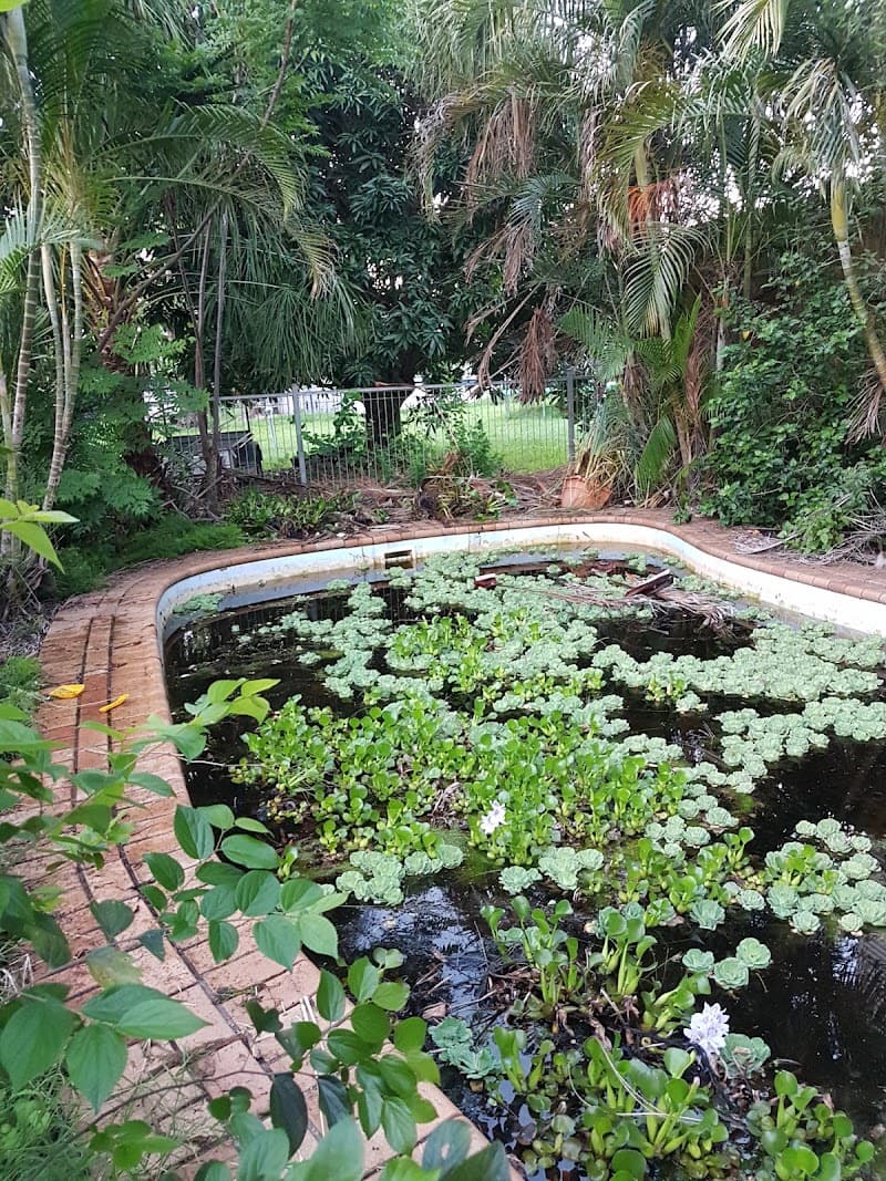 Ipswich Pool & Spa Centre pool maintenance work in Newtown