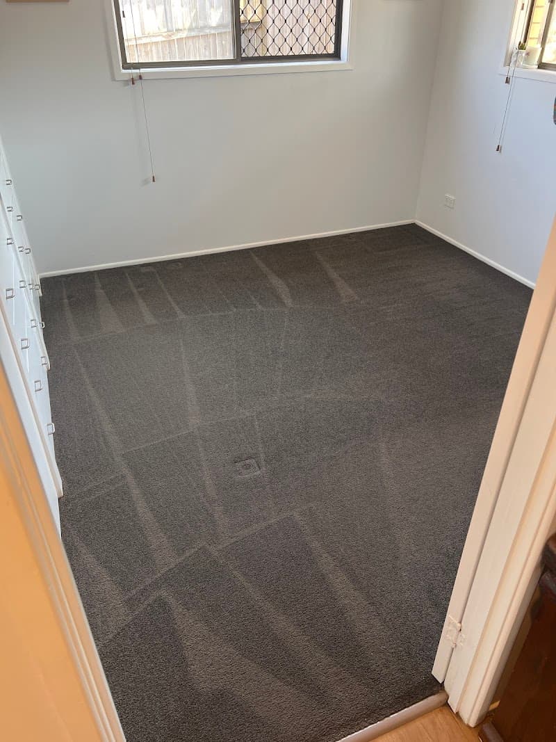 Ipswich Steam Clean carpet cleaning work in Ripley
