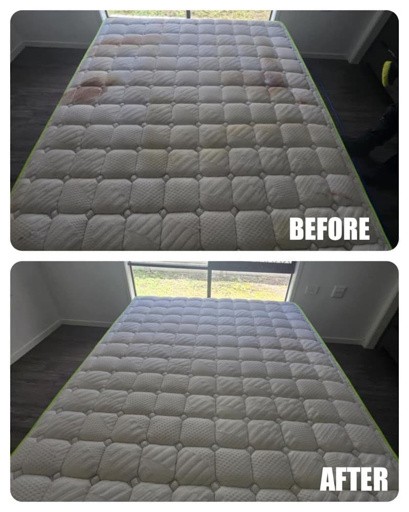 Ipswich Steam Clean carpet cleaning work in Ripley