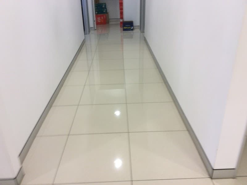 Irinieta Cleaning Services carpet cleaning work in Mount Louisa