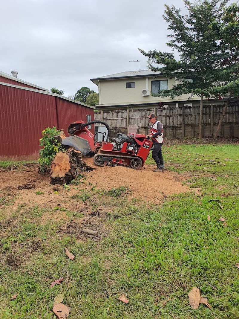 Iron Bull Stump Grinding tree services work in Mooroobool