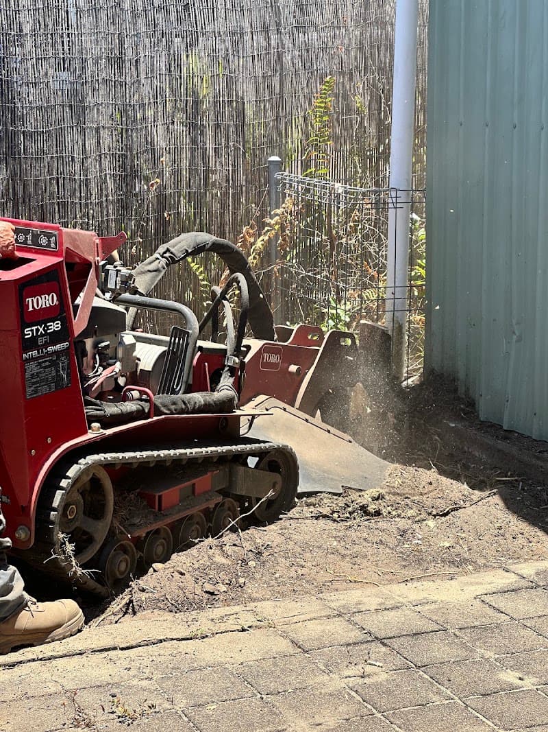 Iron Bull Stump Grinding tree services work in Mooroobool