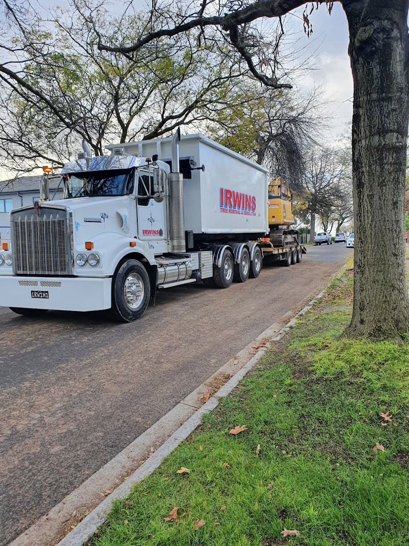 Irwins Tree Removal Geelong tree services work in Moolap