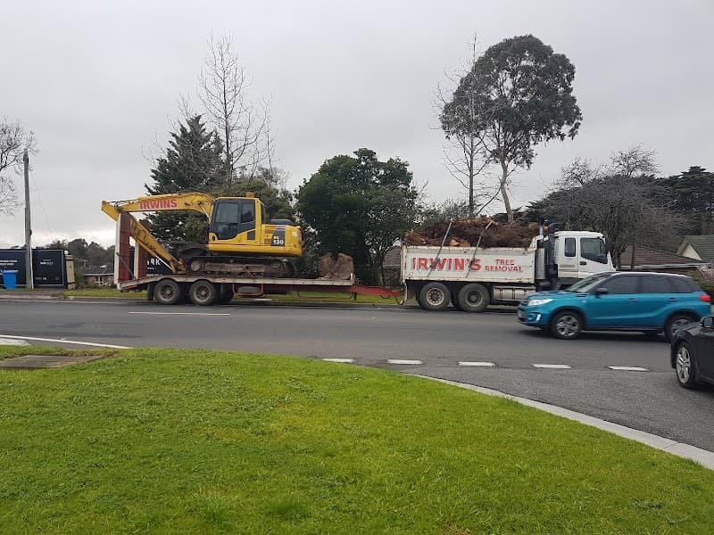 Irwins Tree Removal Geelong tree services work in Moolap