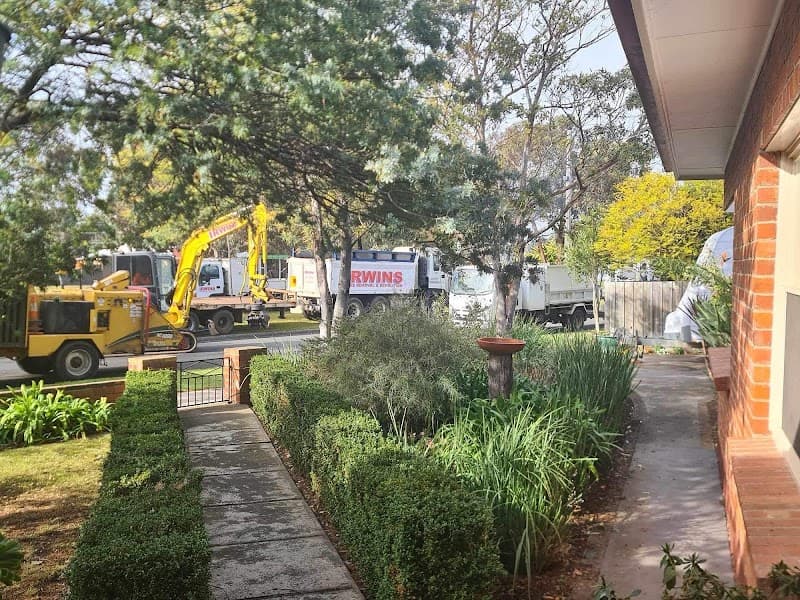 Irwins Tree Removal Geelong tree services work in Moolap